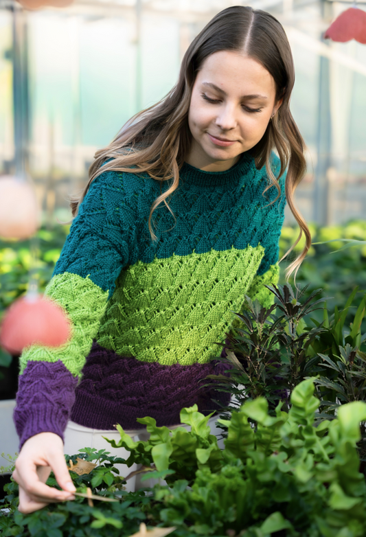 Anleitung Salvia Sweater