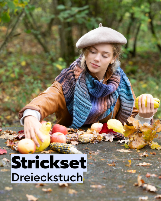 Strickset Dreieckstuch