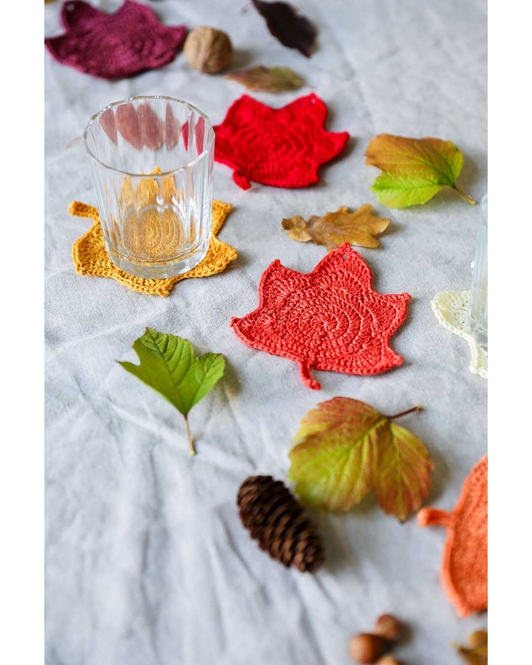 Maple leaves