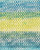aqua-citron vert-algue-essence