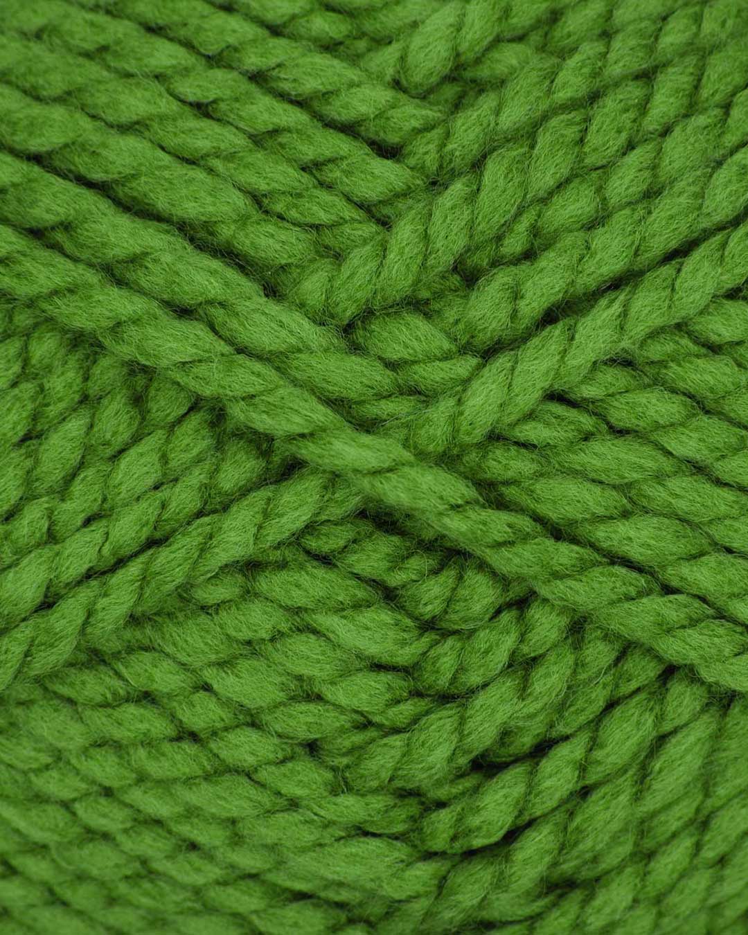 Lisa Premium Grande